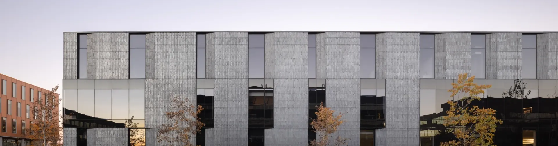 Stekar image bas de page